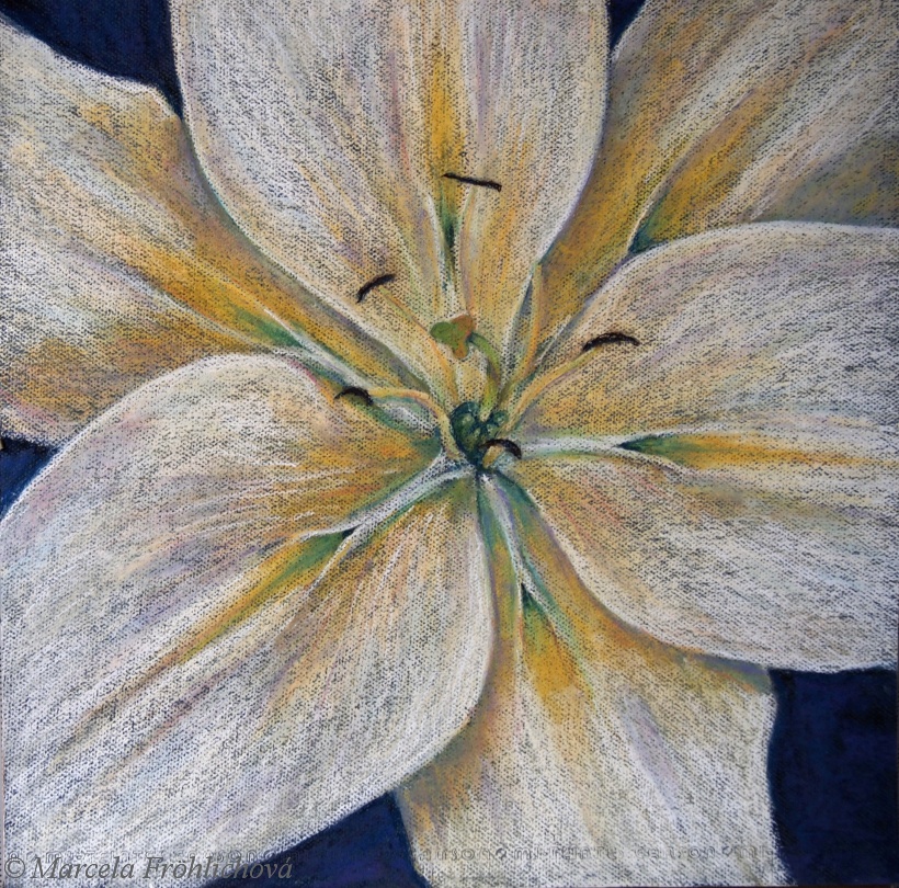 2012_06_43 Heart of Lily 50x50