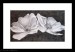 13_Two Dog Roses_30x40