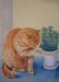 Kočičí koupel_pastel_A3